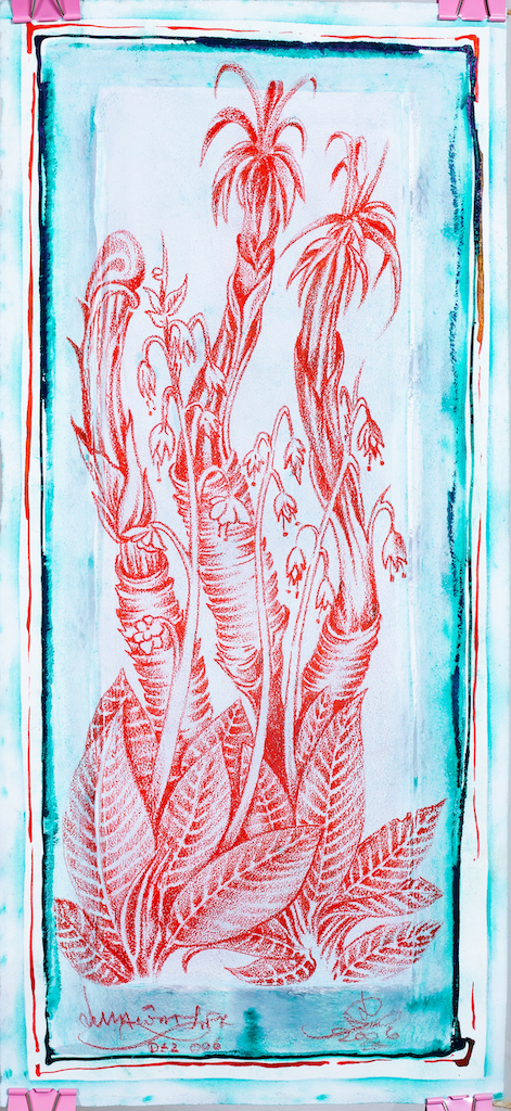 Tela comprida verticalmente. Desenho na cor vermelha de plantas cilíndricas com folhas largas na base com contorno em aquarela azul. As plantas são rugosas logo acima das folhas de onde saem folhas finas e compridas. Entre elas brotam três pedúnculos finos de onde brotam pequenas flores com estigmas. Na base, a assinatura nos dois cantos inferiores a assinatura e o ano de 2006.